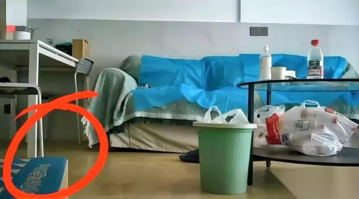 你们刷到那视频没？里面用一摞书挡着拍摄设备，可这书摆得比剧情还“出戏”。