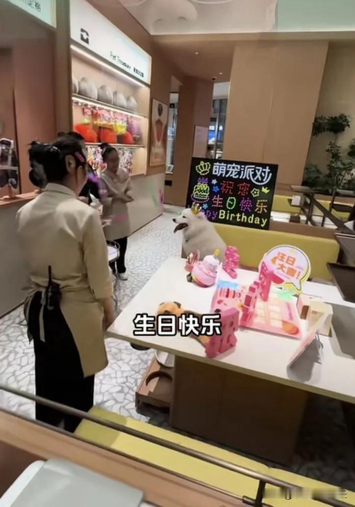 资本让人给狗低头哈腰。某家海底捞，服务员正在大声唱“生日快乐”歌，以为是哪位顾
