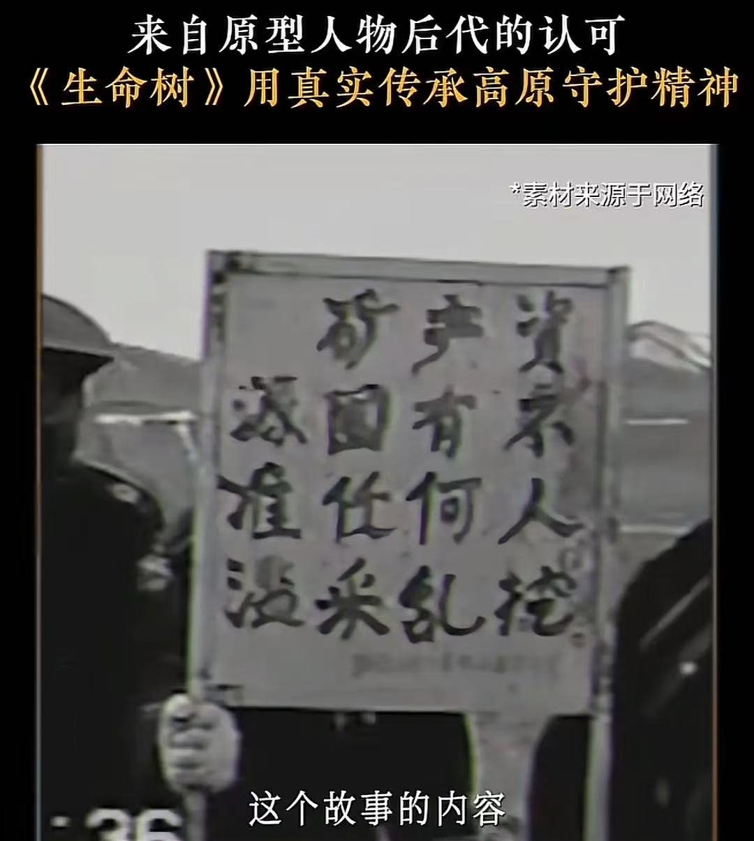 生命树无妄之灾，昨天看了原型后人的发言，看得差点流泪了。“里面的内容是我20多年
