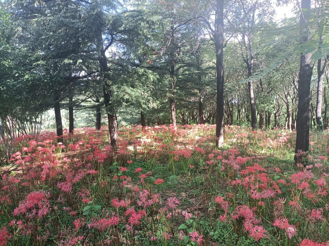 送外卖是为了欣赏沿途的风景最近一部视频被骂的灰头土脸，内容是一位女设计师厌