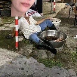 佛山顺德陈村的一家“莫氏鸡煲”火得一塌糊涂，甚至惊动了全村。起因特别逗，老板面对