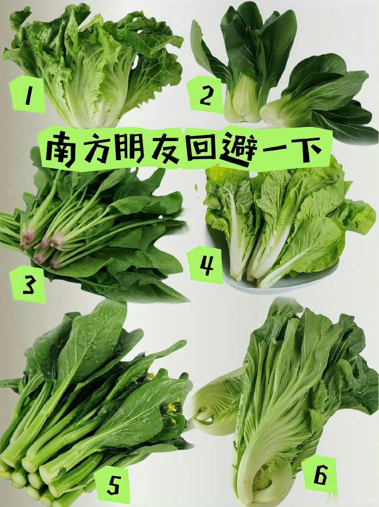 南方的朋友请回避一下！北方的朋友们：请问哪个是青菜？