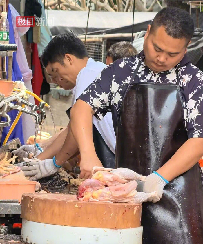 莫氏鸡煲日均营业额不低于6万【反流量却成了流量密码，莫氏鸡煲老莫：在60岁被迫开