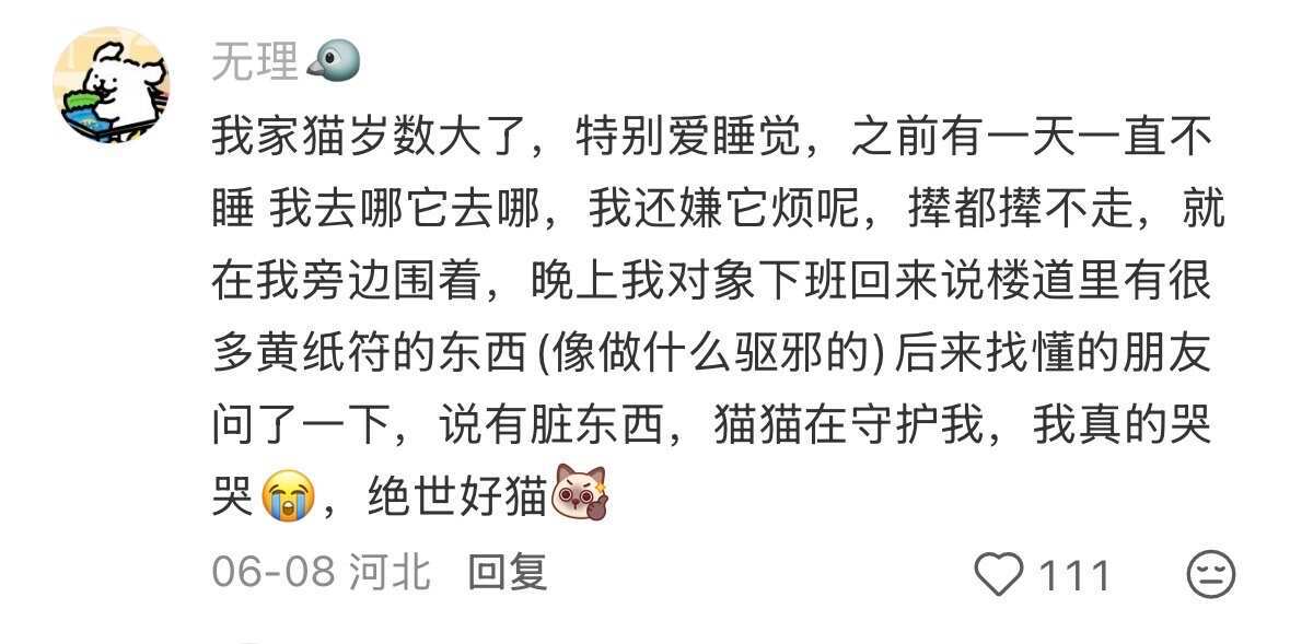你的小猫做了哪些事让你觉得没白疼它？