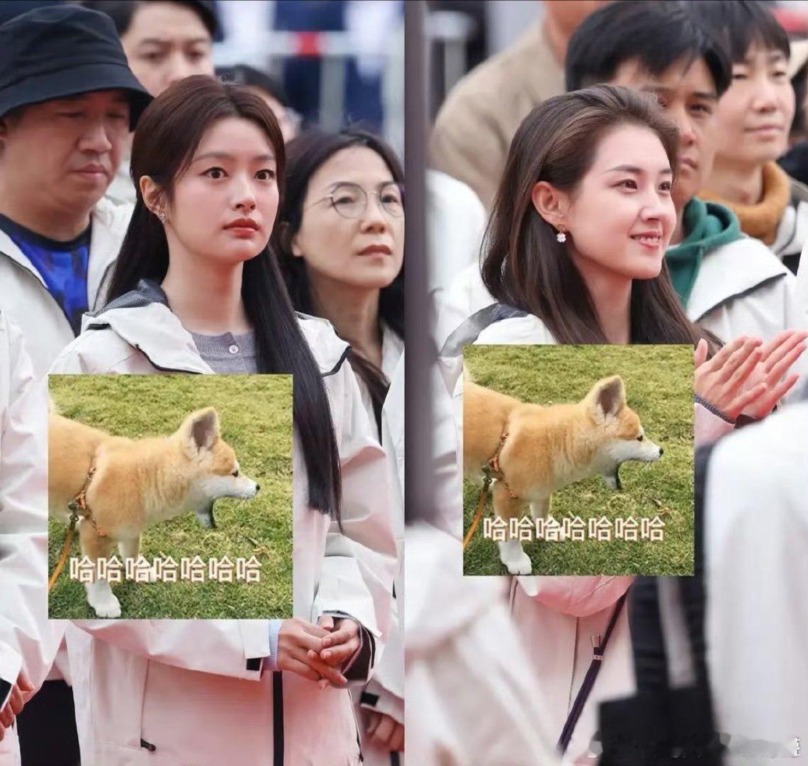 郭宇欣是比那些短剧出来的漂亮，徐若晗这死鱼眼会被压吧但是玉簟秋丞磊徐若