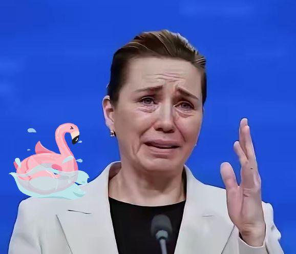 不要滥施同情这就是丹麦的首相。没事时，隔着十万八千里，对中国横挑鼻子竖挑眼，