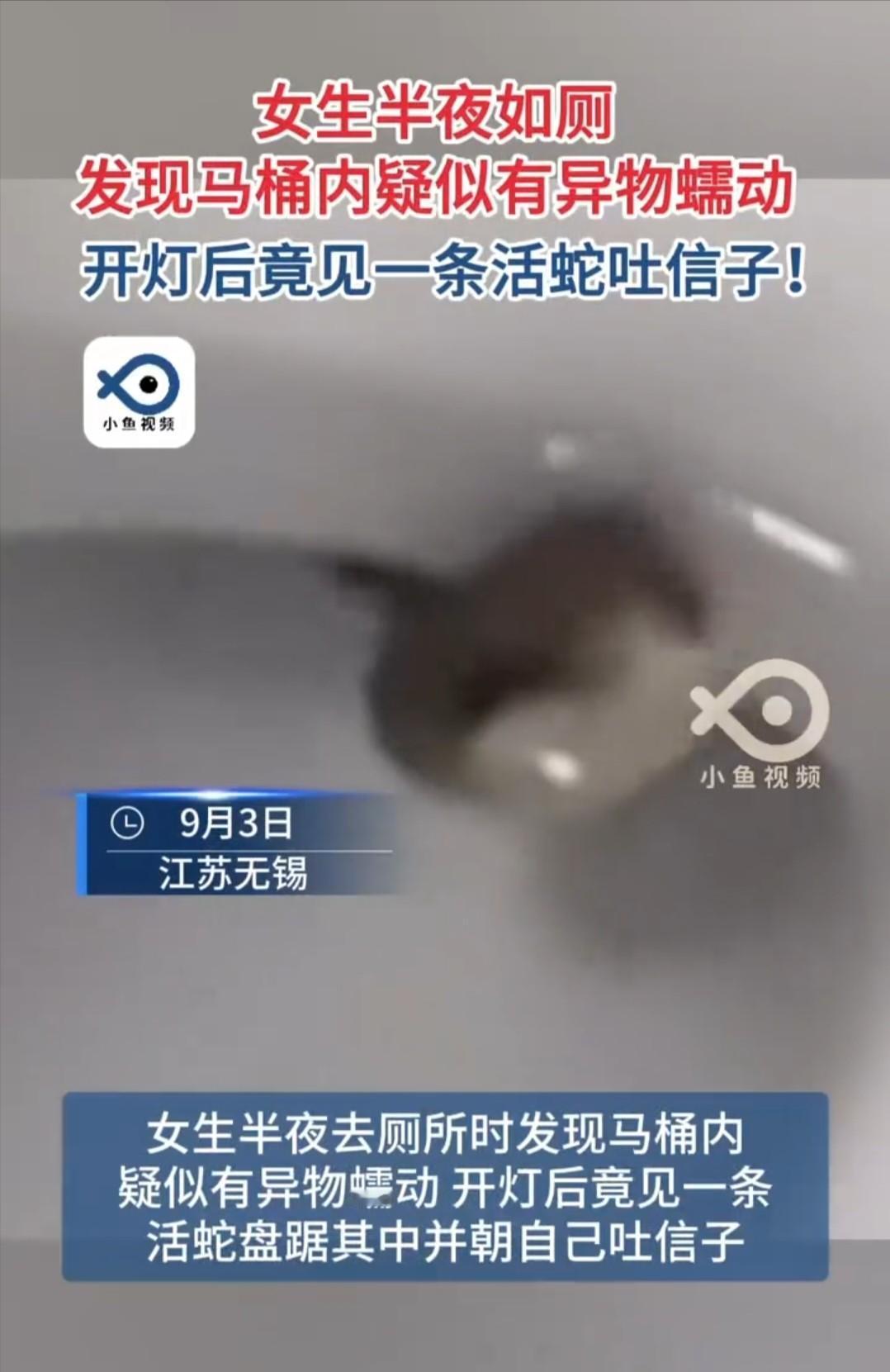 “太吓人了！”一女子半夜熟睡，突然一股尿意来袭，她赶紧跑到厕所，结果刚打开马桶盖