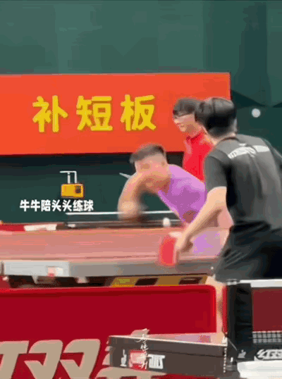 成都封训时期，看到了肖指在陪王楚钦训练，好久没看到肖指打球了，看来肩膀恢复的差不