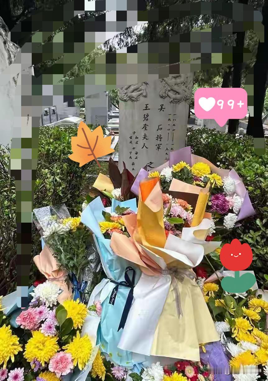 《沉默的荣耀》看哭了？香山公墓的鲜花早给出答案：真正的铭记从不是热搜！谁