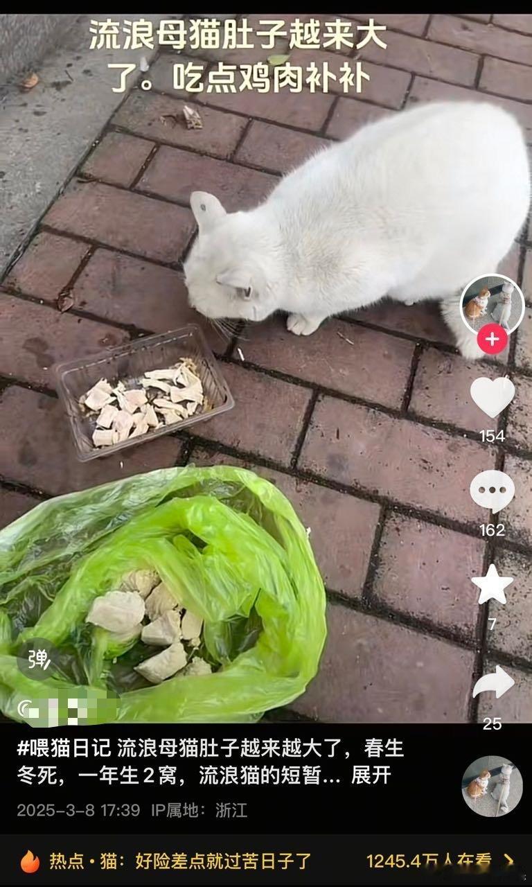 看到女生投喂小猫，评论区👇🏻​​​