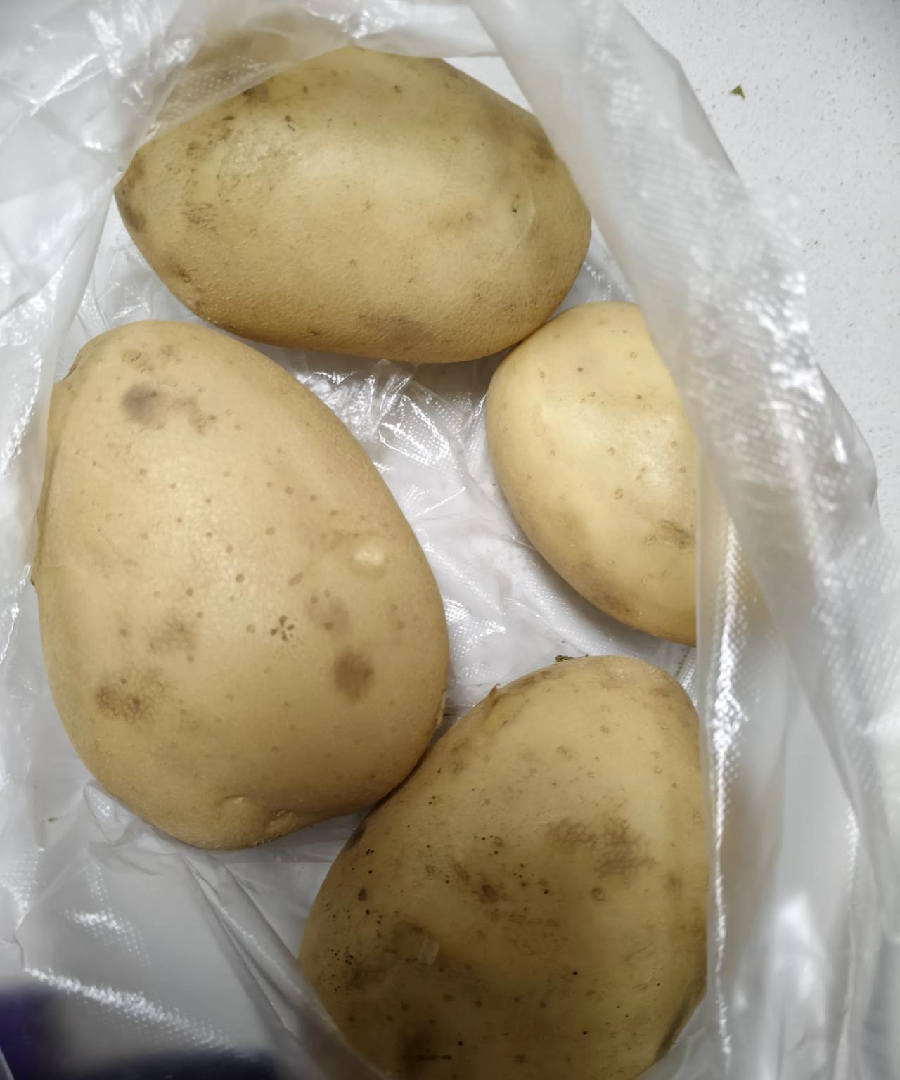 四个土豆5元钱，一大袋的菜茄子，豆角空心菜，丝瓜，大葱搞了一大袋子一分钱不用花，