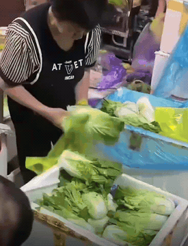 那一片片新鲜的菜叶就这么被大妈给扔了，如此浪费难道良心不会痛吗？要是都像她这么买