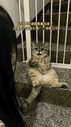 女子出门办事，不知道猫咪也跟了出来，关上门就走了。猫咪看着主人远去的背影，想回家