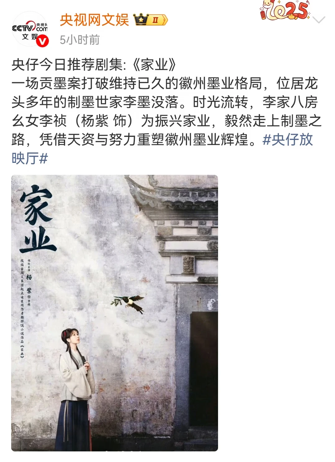 央妈盖章力荐！杨紫《家业》凭匠心封神