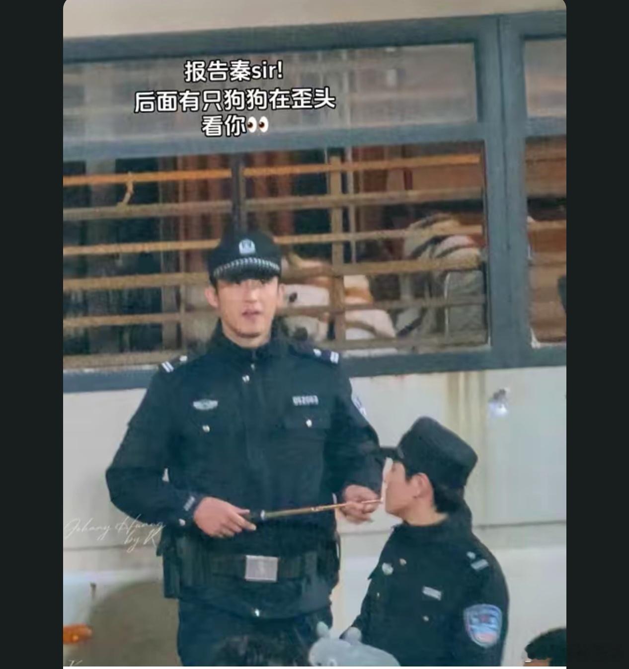 清照片，好久以前存的一张《罚罪》2的路透，狗狗爱你。