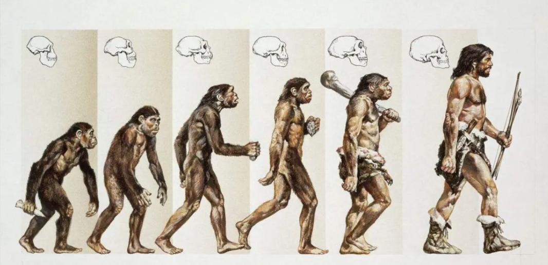 人类在进化过程中丢失了哪些能力？ 我们总觉得人类的进化史，就是一部一路开挂的