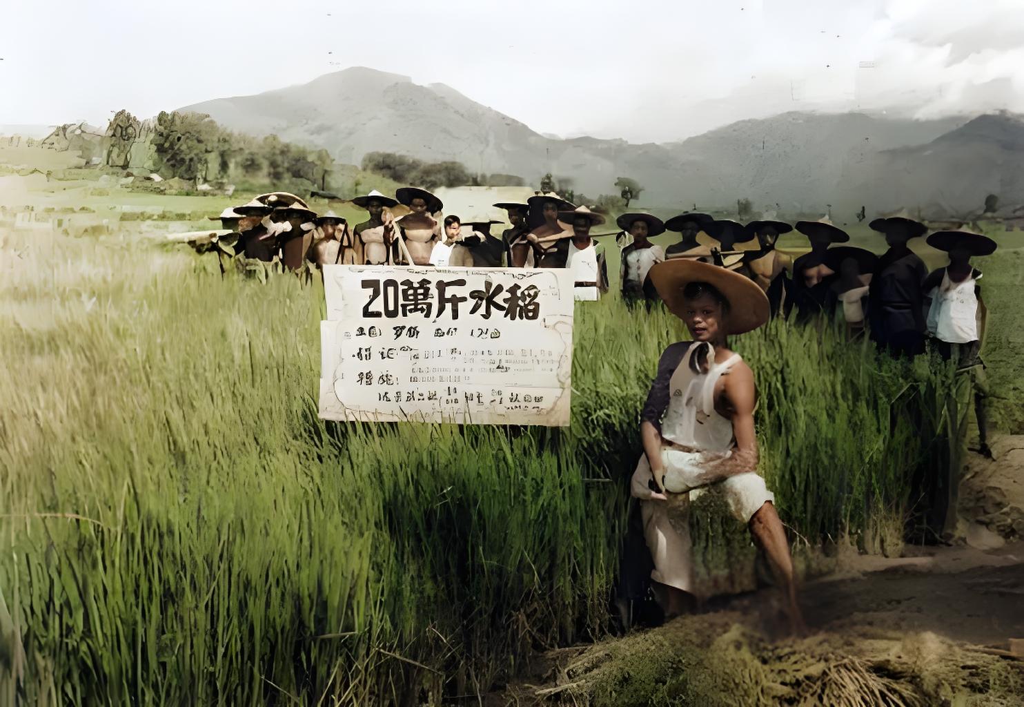 1958年，一群民众站在“浮夸风”中的水稻亩产万斤田旁