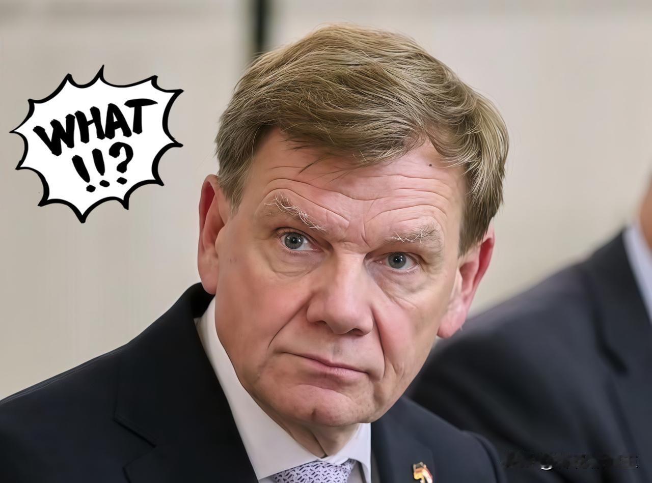 今日消息最近中德稀土之争闹得沸沸扬扬，德国外长一句“怎么用稀土不关你事”的硬话