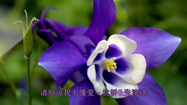 1295365550452191774.jpg?id=0