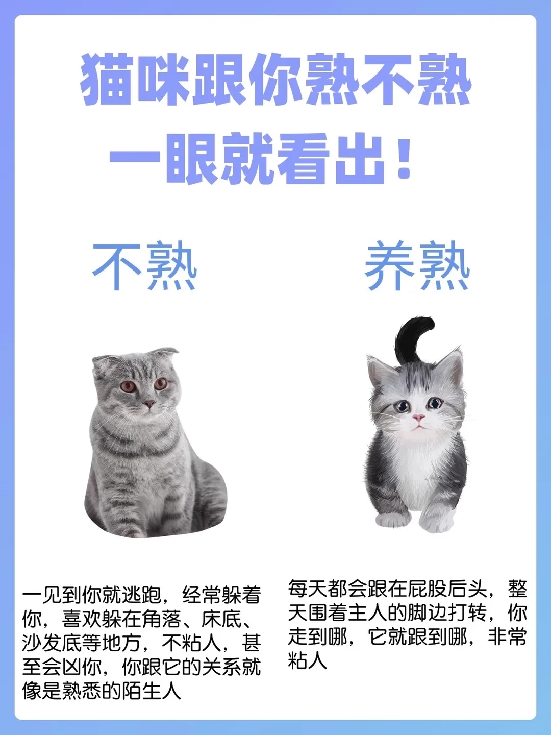 猫咪跟熟不熟，一眼就看出来