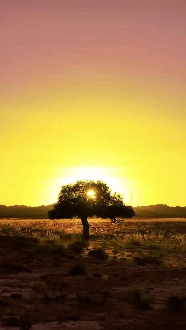 也不知道在等什么……就是想再等等……原创摄影