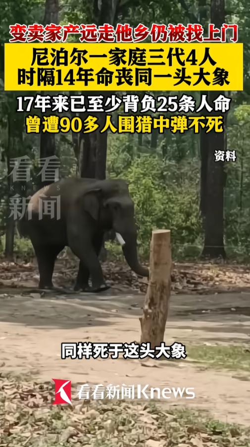 🌞“这就是命啊！”7月7日报道，尼泊尔一男子的儿媳和4岁的孙子被一头野象杀