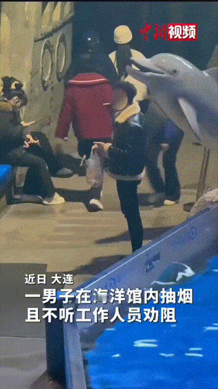笑不活了！男子在海洋馆内抽烟，工作人员见状急忙跑上前劝阻“先生，这里禁止吸烟。”