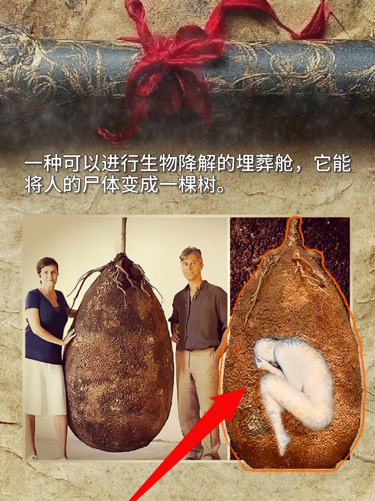 一种可以进行生物降解的埋葬舱，它能将人的尸体变成一棵树。