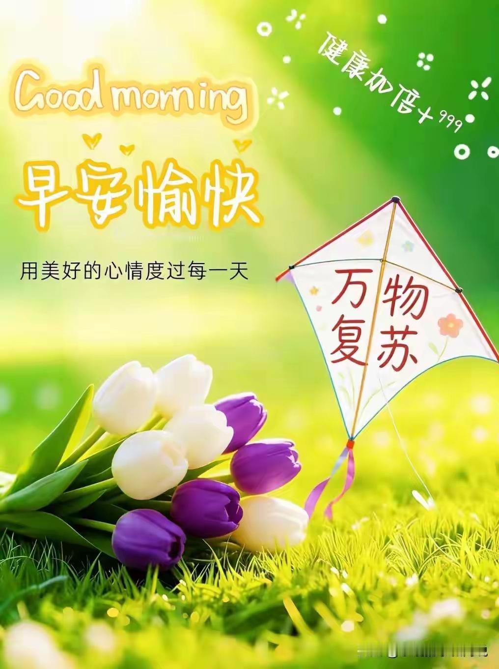 早安愉快，用美好的心情迎接每一天！🌞🌸🎉