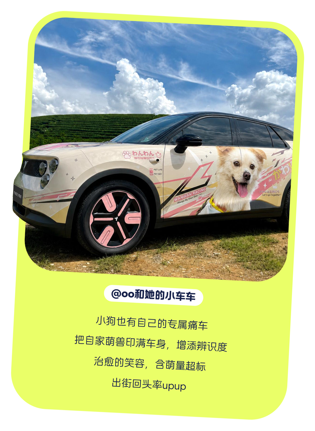“萤火虫”，悄悄撑起了一个细分市场