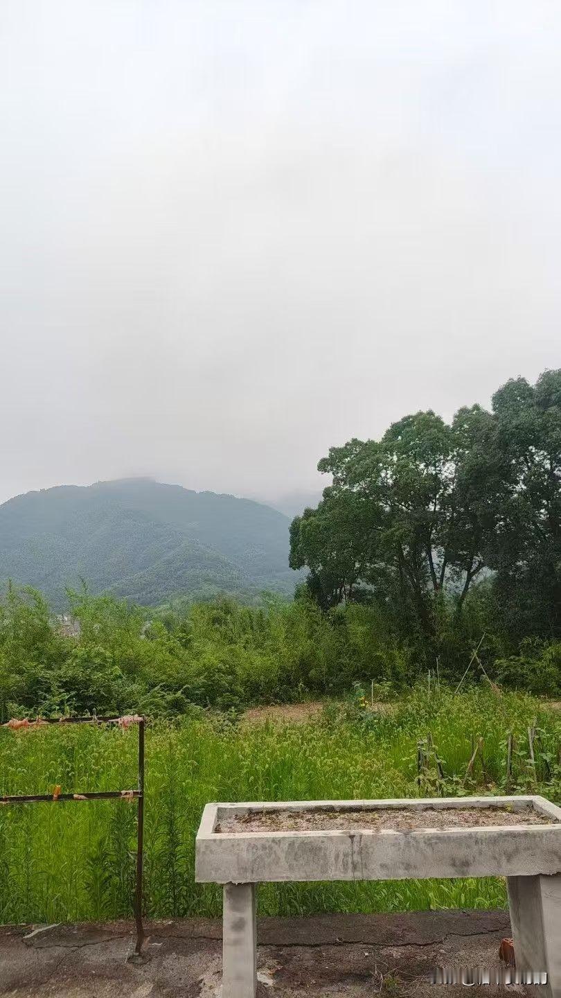 奉劝各位一句，最近有买车打算的，千万要忍住！接下来这波车市很可能会由现在的