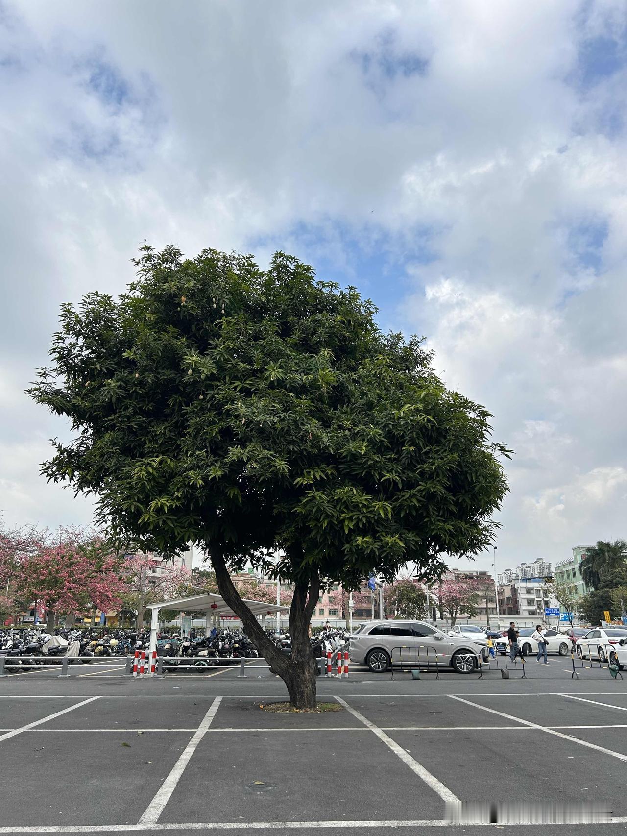 网上的各种神棍太多了，还有占星学的也是，各种牛鬼蛇神在乱编乱造，今天这个座怎么样