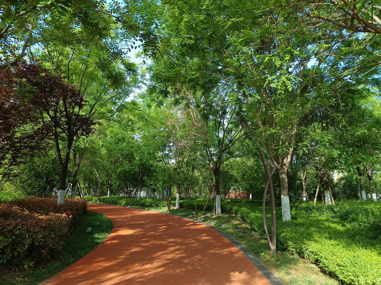 高校去行政化的必要性985高校宣传部人数西安交通大学党委宣传部（含融媒体