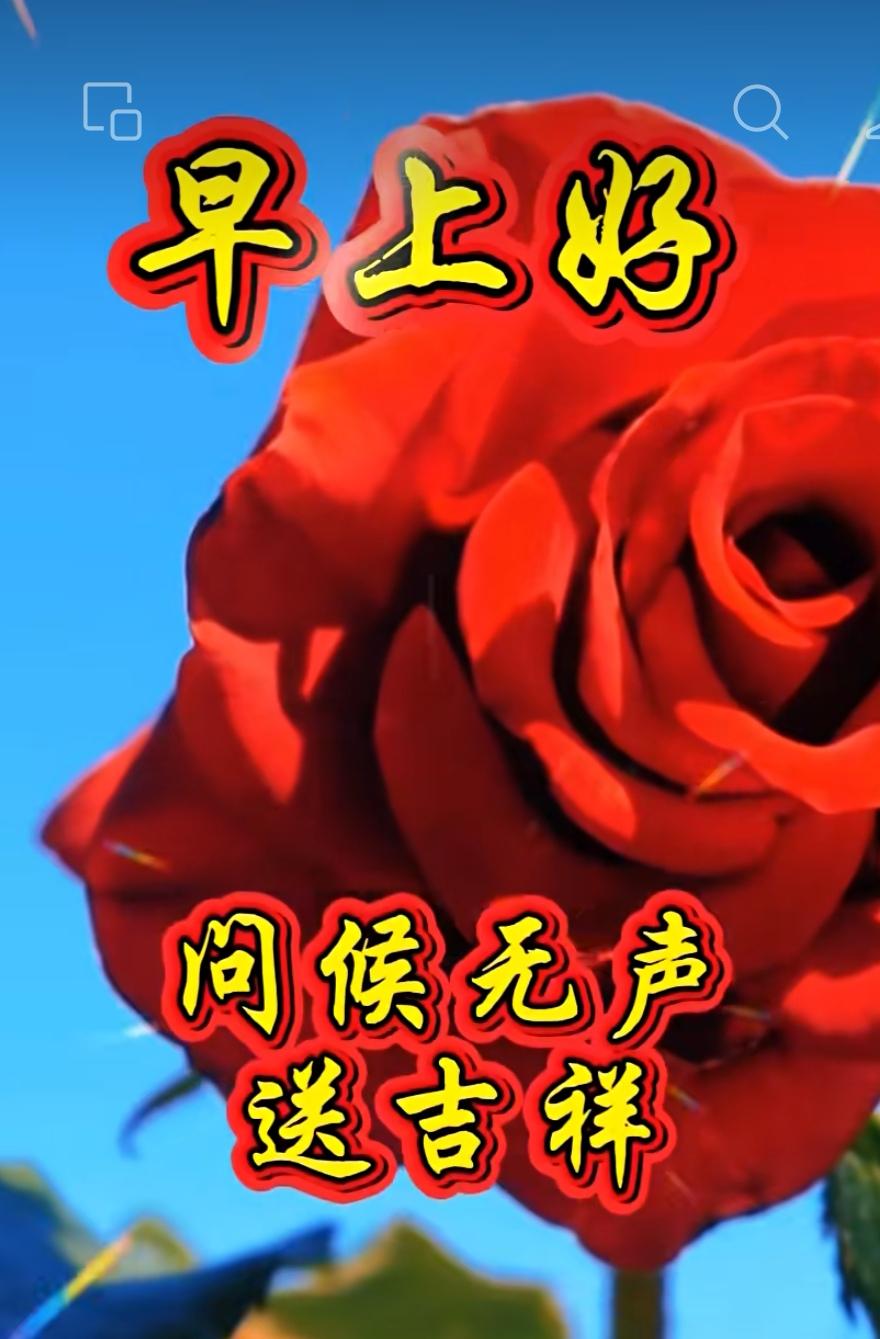 歡笑而過是昨天，幸福快樂在今天，錦上添花待明天，吉祥安康每一天。早上好！