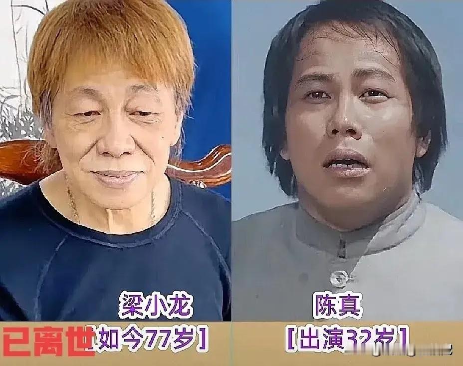 梁小龙去世了，留下的角色永不褪色。黎汗持去世了，留下的角色永不褪色。米雪变老