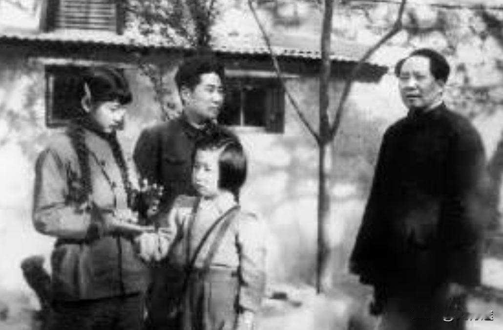 毛岸英牺牲后，警卫收走了刘思齐的中南海特别通行证，毛主席得知此消息后大怒，直接与