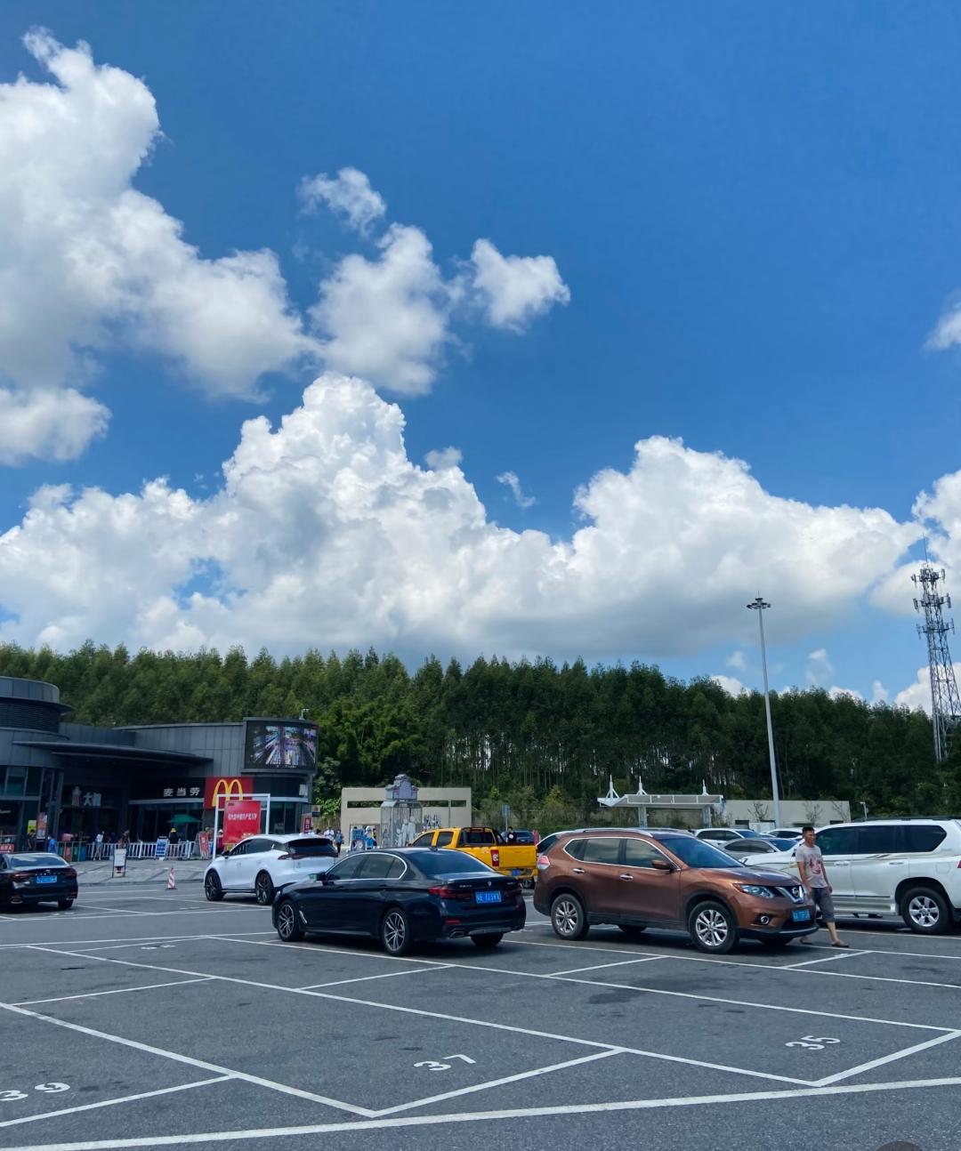 表哥一家4口蹭我车，服务区点420元大餐让我买单，我直接付了自己18块的牛肉面，