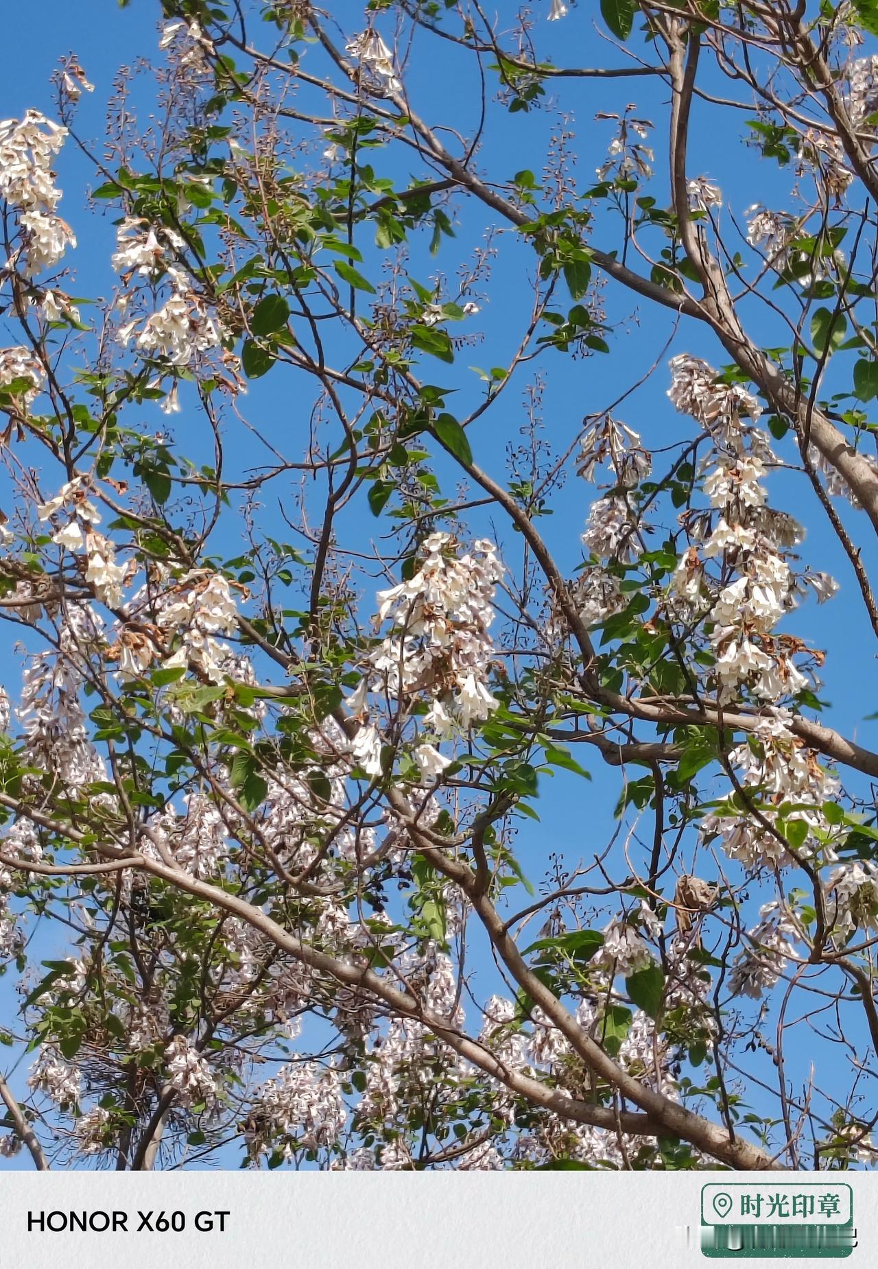 08年5月12日下午，我坐在西安四楼的办公桌前，办公桌旁的窗户打开着，阳光明媚，