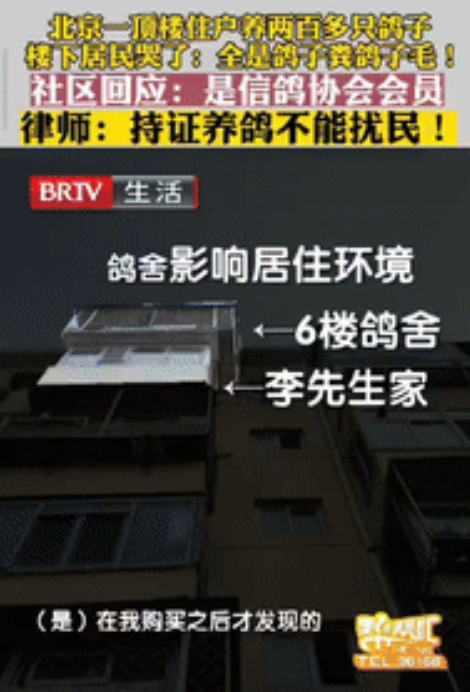 北京一男子花了235万买房，结果楼上邻居养了200多只鸽子，忍无可忍想卖房，却发