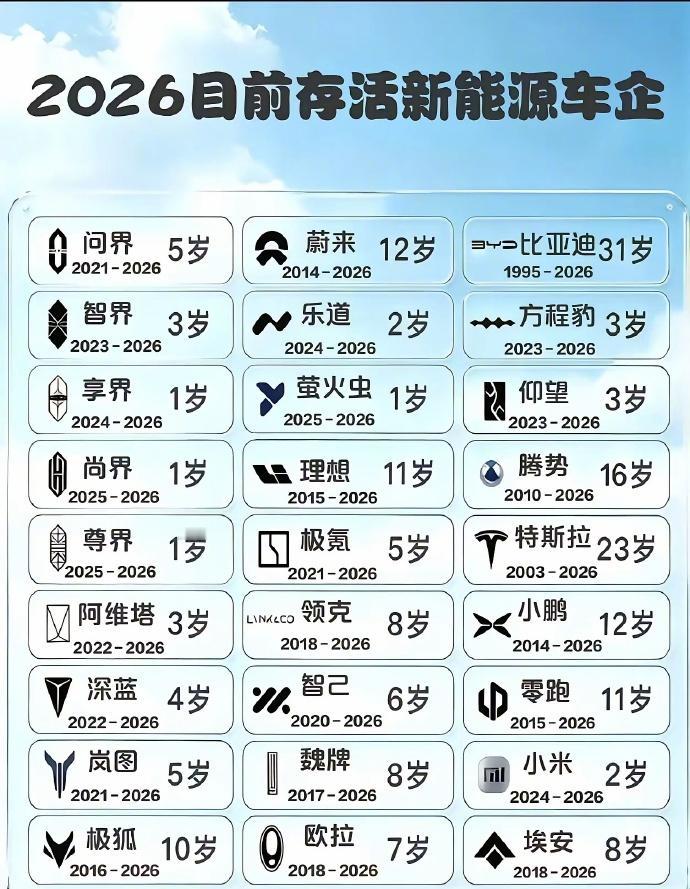 看看这张图——蔚来12岁，小鹏12岁，理想11岁，比亚迪都31岁了。而那些1岁