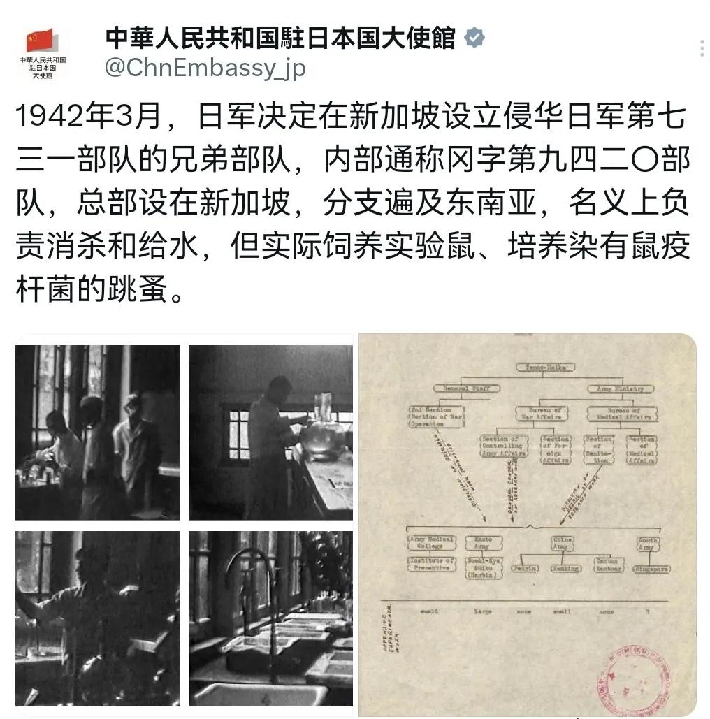 这脸打得啪啪响！最近，新加坡总理黄循财公开说，东盟各国早就“原谅”了日本二战
