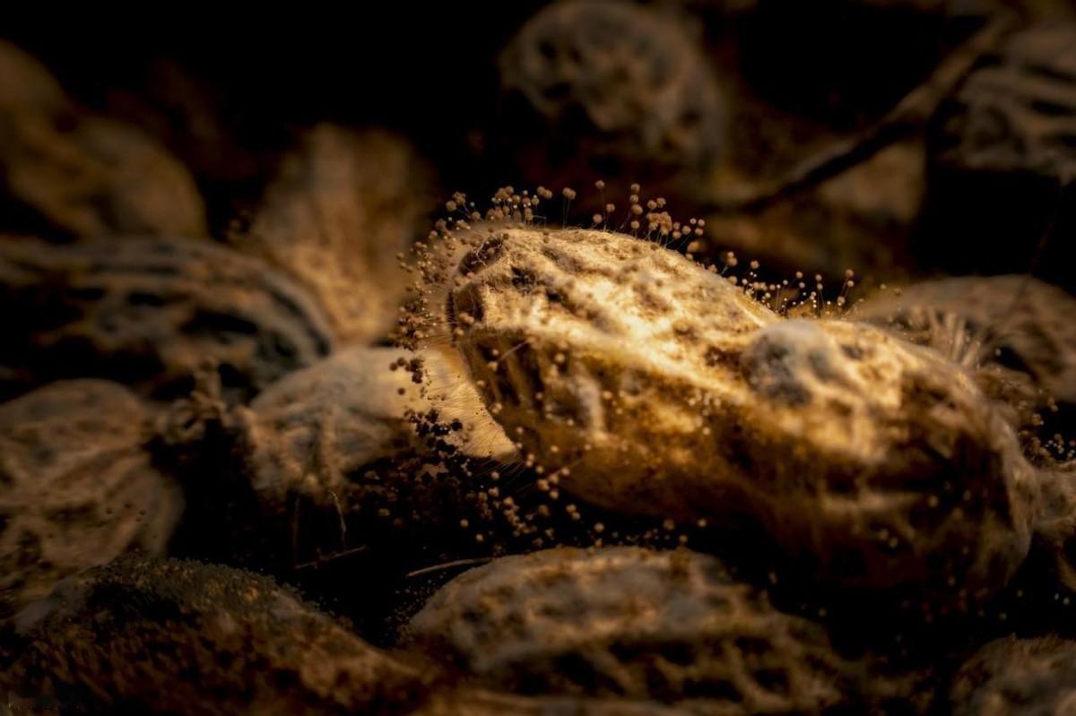 “我平时挺注意的，怎么肝就不好了？”，后台经常收到类似消息。肝脏是人体唯一没