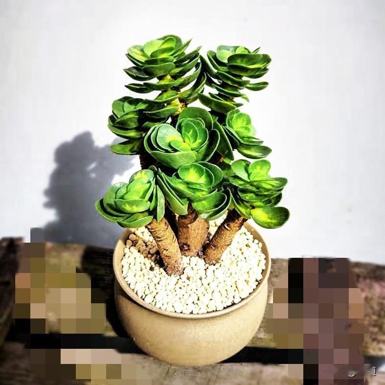 心灵书舫这位头条二咖也太拼了，刚刚刷到他写的一篇头条。于是点开主页，不看不要紧