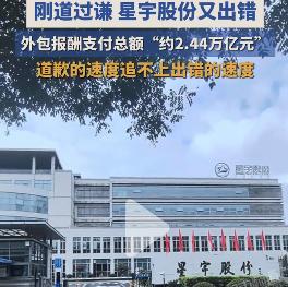 星宇股份年报再出重大错误——外包报酬支付总额为2.44“万亿”：星宇道歉的速度