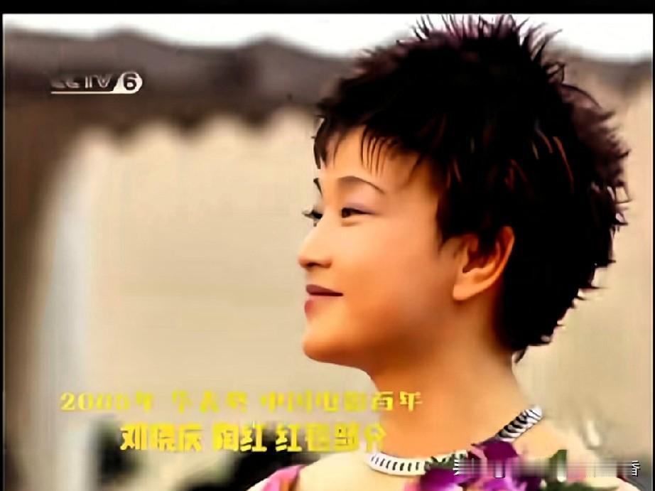 这是2005年华表奖上，刘晓庆与大陶红走红毯的场景。彼时刘晓庆刚满50岁，却显得