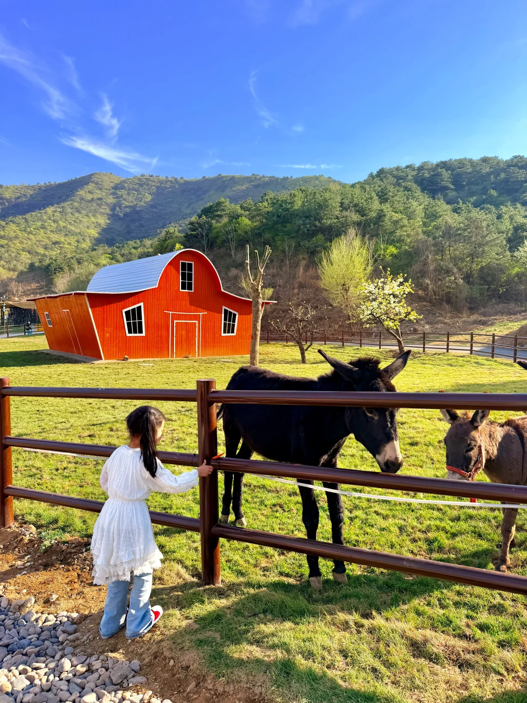 京津冀周末好去处 ，娃玩到不想回家🤣