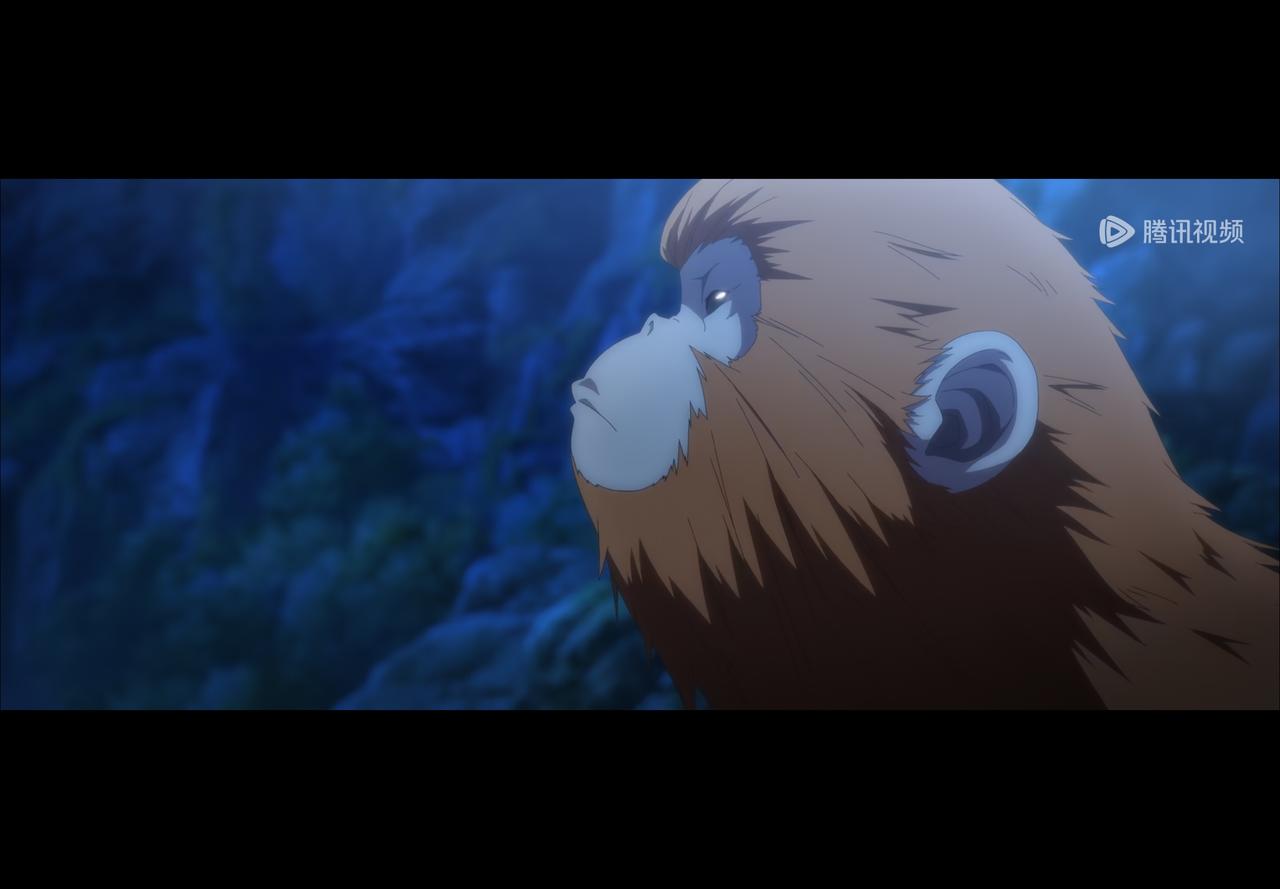 哈哈哈哈哈哈哈哈哈哈，金凤婆婆真幽默，看到有一只猴子耳朵特别大，就说你是张怀义的