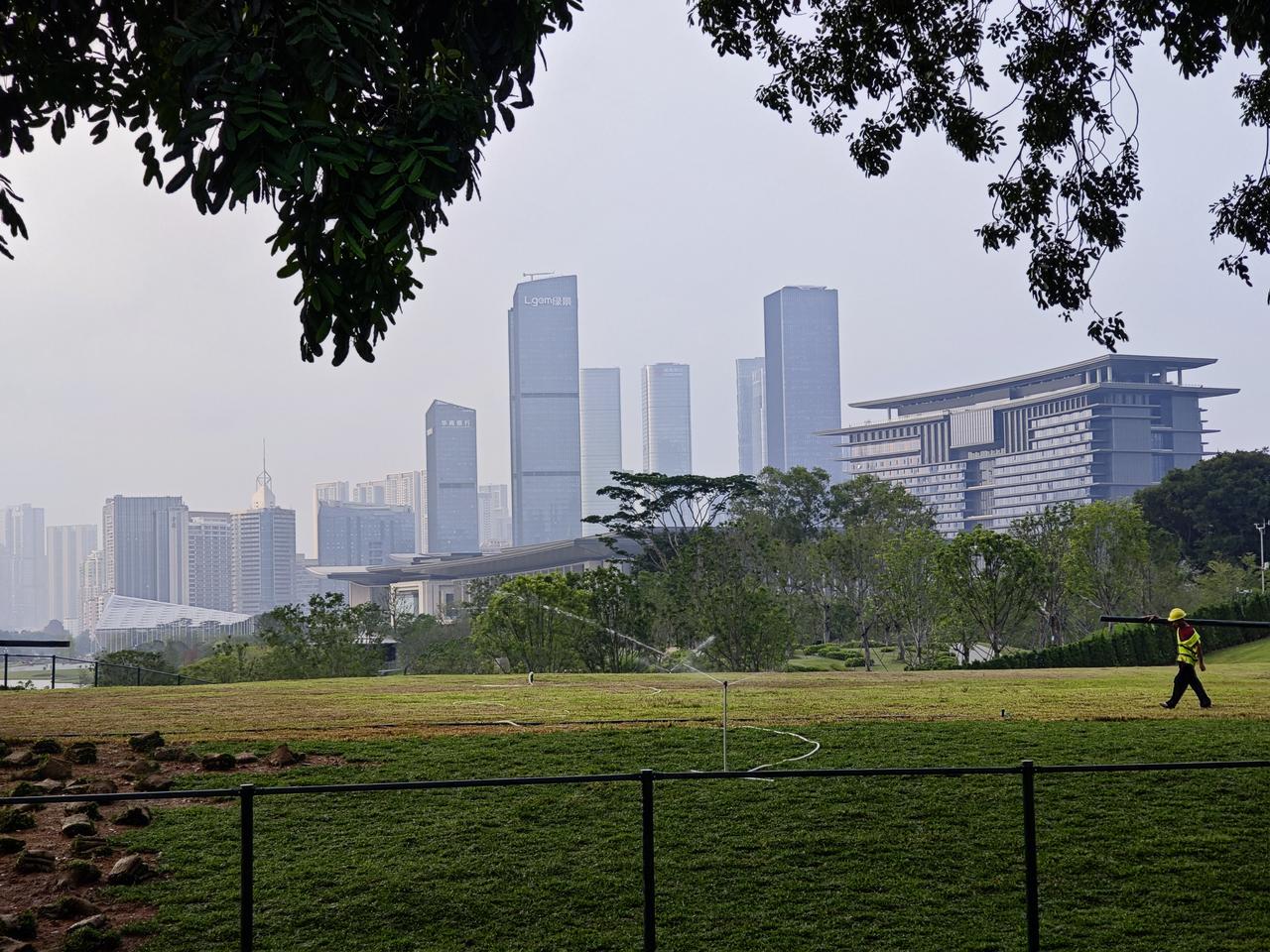 今天清晨6:50拍摄的深圳香蜜湖公园和深圳国际文化交流中心，即将到来的APEC会