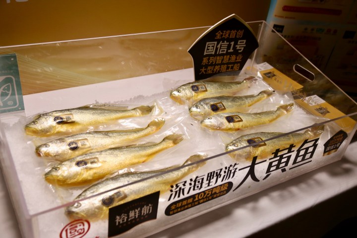 杭州人餐桌上的两位“老演员”还能怎么烧? 杭帮菜大师和专业海鲜餐厅老板各有绝活