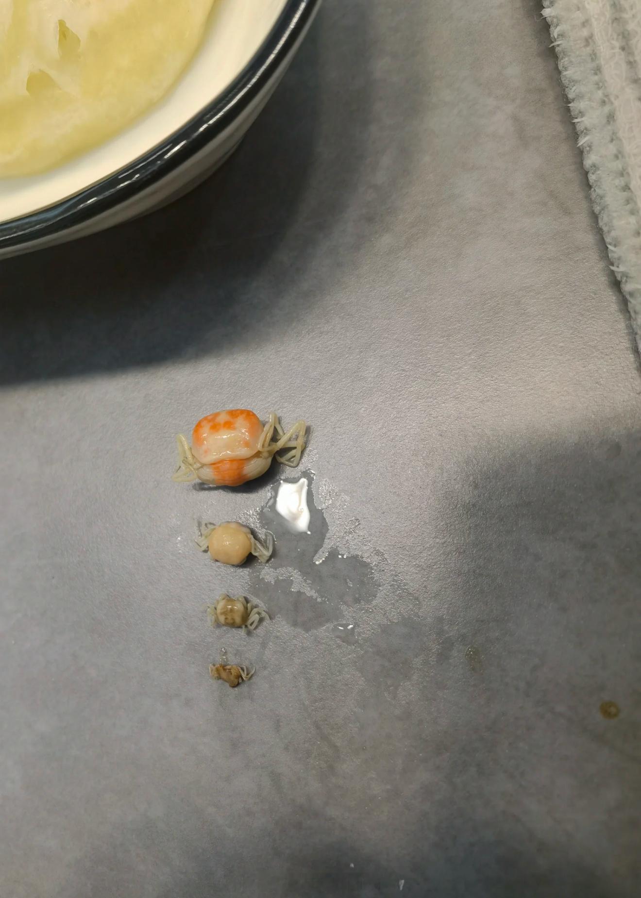 女生撬开生蚝发现小螃蟹“已经被煮熟了，然后也没忍心吃”蚝里蟹哈哈哈哈[捂脸哭][允
